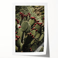 Rustic Wall Art - Prickly Pear Cactus with Red Fruit, Farmhouse Decor Print