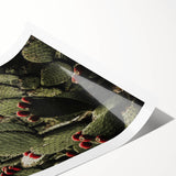 Rustic Wall Art - Prickly Pear Cactus with Red Fruit, Farmhouse Decor Print