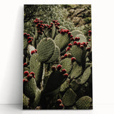 Rustic Wall Art - Prickly Pear Cactus with Red Fruit, Farmhouse Decor Print