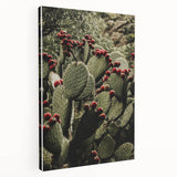 Rustic Wall Art - Prickly Pear Cactus with Red Fruit, Farmhouse Decor Print