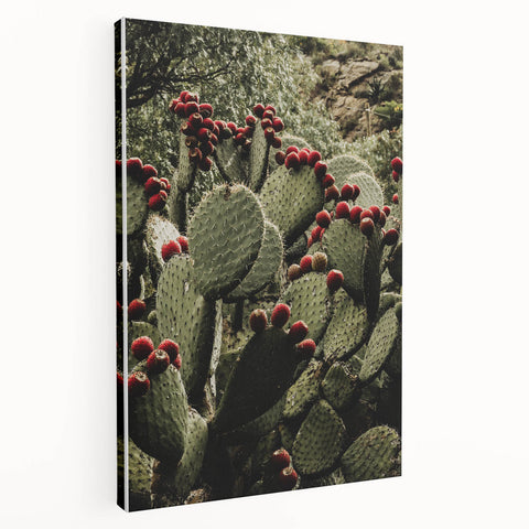Rustic Wall Art - Prickly Pear Cactus with Red Fruit, Farmhouse Decor Print