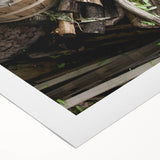 Rustic Wall Art - Pinecones in Wooden Basket, Farmhouse Decor Print