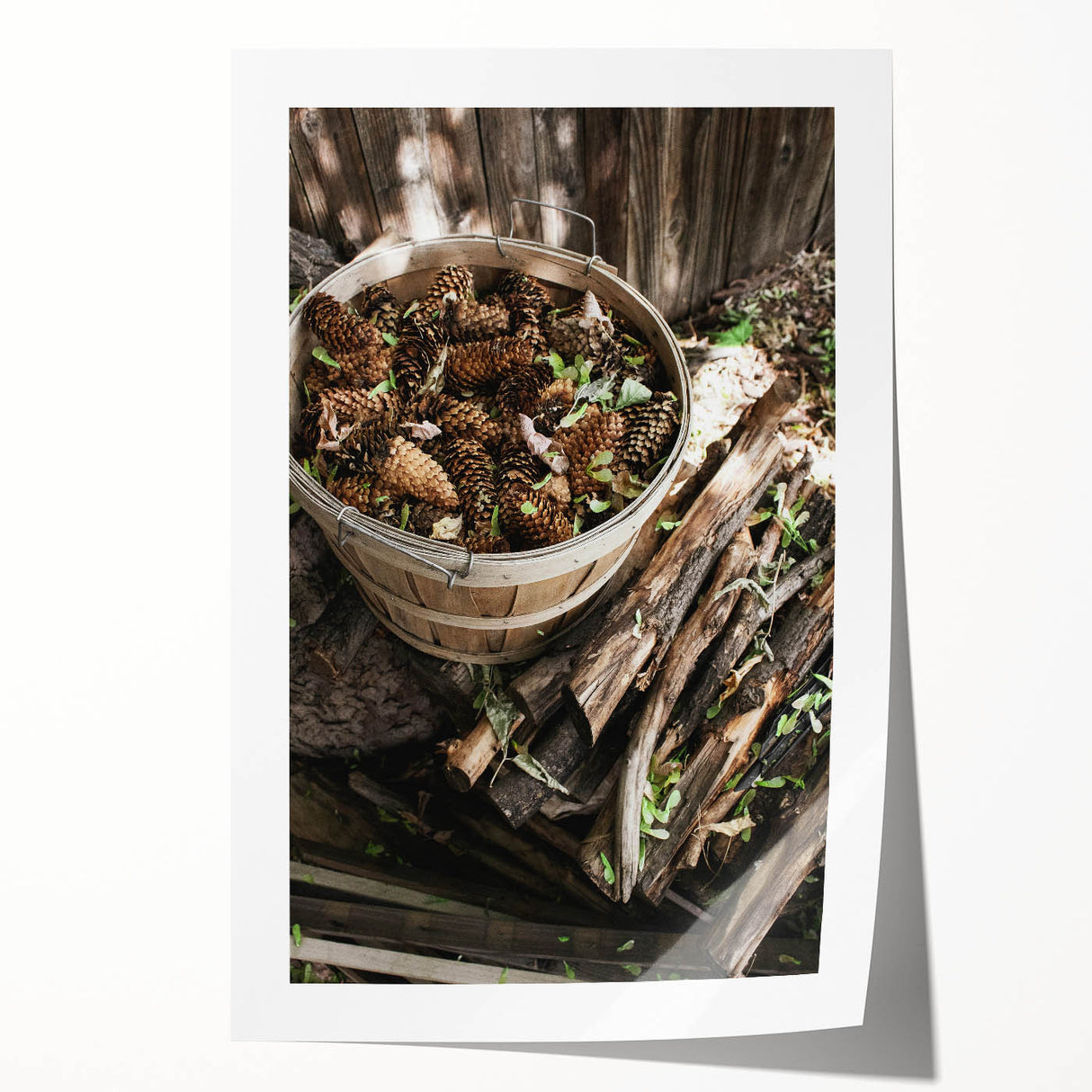 Rustic Wall Art - Pinecones in Wooden Basket, Farmhouse Decor Print