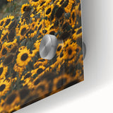 Rustic Wall Art - Sunflower Field at Sunset, Farmhouse Decor Print