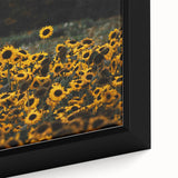 Rustic Wall Art - Sunflower Field at Sunset, Farmhouse Decor Print