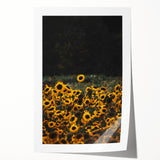 Rustic Wall Art - Sunflower Field at Sunset, Farmhouse Decor Print