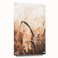 Elegant Wheat Stalk Art Print, Rustic Farmhouse Wall Decor