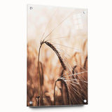 Elegant Wheat Stalk Art Print, Rustic Farmhouse Wall Decor