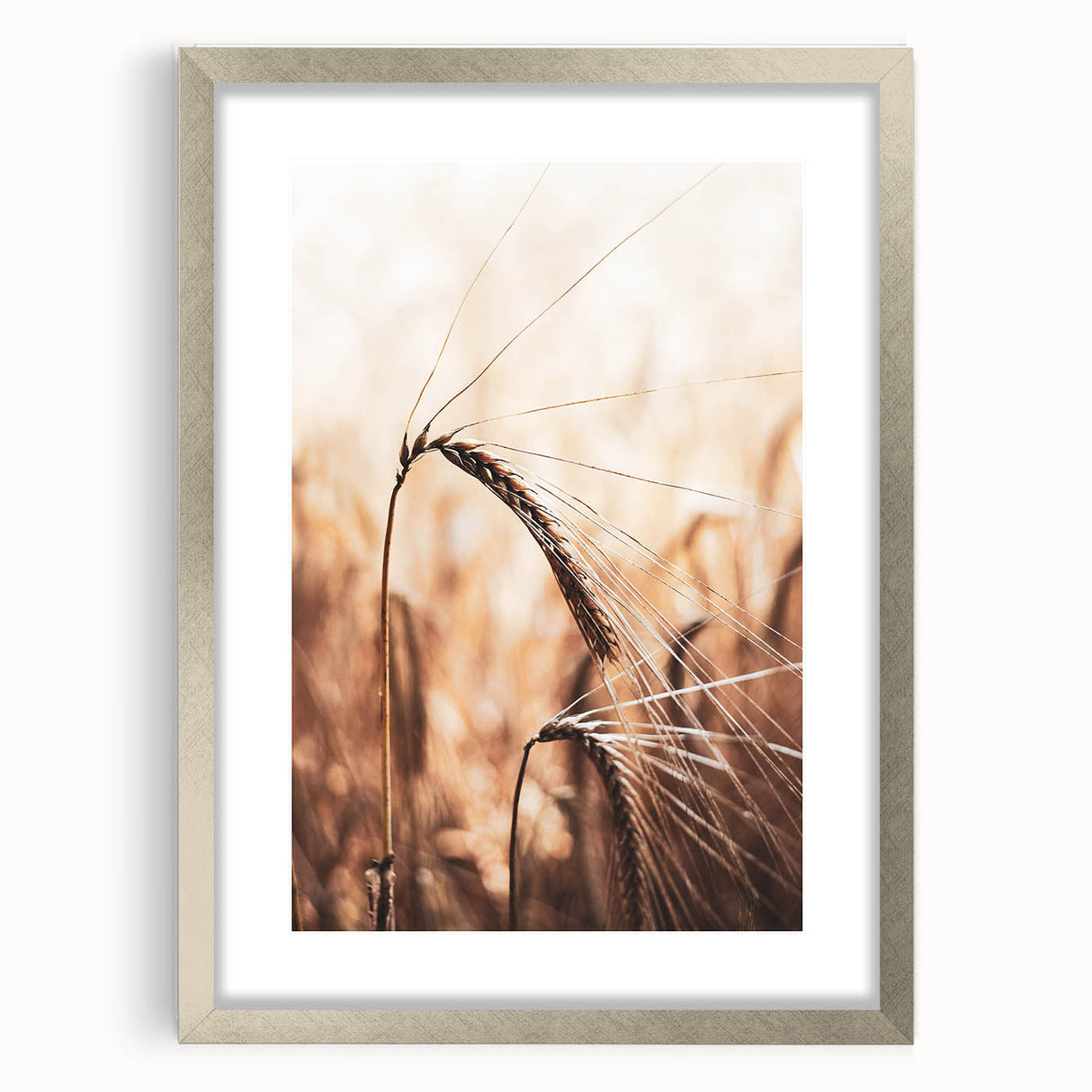 Elegant Wheat Stalk Art Print, Rustic Farmhouse Wall Decor