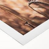 Elegant Wheat Stalk Art Print, Rustic Farmhouse Wall Decor