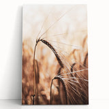 Elegant Wheat Stalk Art Print, Rustic Farmhouse Wall Decor