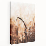 Elegant Wheat Stalk Art Print, Rustic Farmhouse Wall Decor