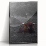 Rustic Wall Art - Highland Cows Resting in Field, Farmhouse Decor Print
