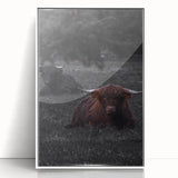 Rustic Wall Art - Highland Cows Resting in Field, Farmhouse Decor Print