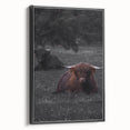 Rustic Wall Art - Highland Cows Resting in Field, Farmhouse Decor Print