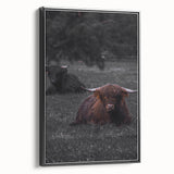 Rustic Wall Art - Highland Cows Resting in Field, Farmhouse Decor Print