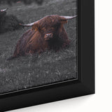 Rustic Wall Art - Highland Cows Resting in Field, Farmhouse Decor Print
