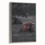Rustic Wall Art - Highland Cows Resting in Field, Farmhouse Decor Print