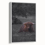 Rustic Wall Art - Highland Cows Resting in Field, Farmhouse Decor Print