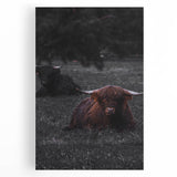 Rustic Wall Art - Highland Cows Resting in Field, Farmhouse Decor Print