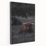 Rustic Wall Art - Highland Cows Resting in Field, Farmhouse Decor Print