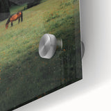 Rustic Wall Art - Horse Grazing in Mountain Valley, Farmhouse Decor Print