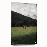 Rustic Wall Art - Horse Grazing in Mountain Valley, Farmhouse Decor Print