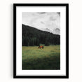 Rustic Wall Art - Horse Grazing in Mountain Valley, Farmhouse Decor Print
