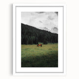 Rustic Wall Art - Horse Grazing in Mountain Valley, Farmhouse Decor Print