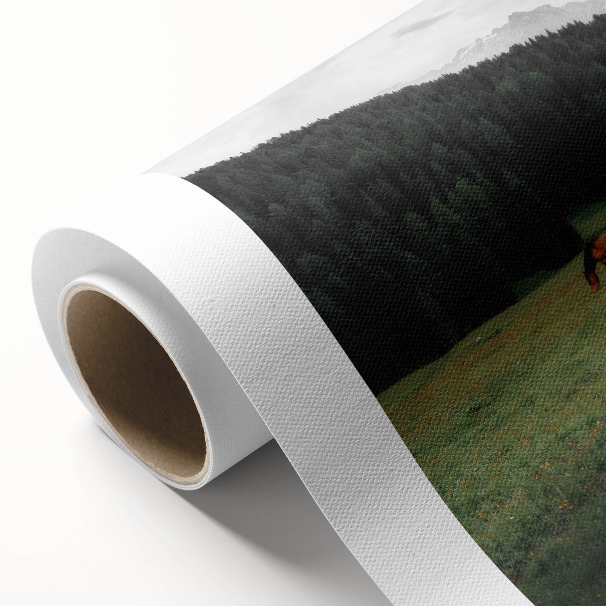 Rustic Wall Art - Horse Grazing in Mountain Valley, Farmhouse Decor Print
