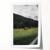Rustic Wall Art - Horse Grazing in Mountain Valley, Farmhouse Decor Print