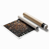 Rustic Wall Art - Stacked Firewood and Old Bucket, Farmhouse Decor Print