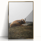 Rustic Wall Art - Highland Cow Resting in Field, Farmhouse Decor Print