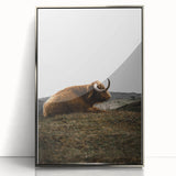 Rustic Wall Art - Highland Cow Resting in Field, Farmhouse Decor Print