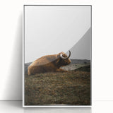 Rustic Wall Art - Highland Cow Resting in Field, Farmhouse Decor Print