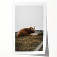 Rustic Wall Art - Highland Cow Resting in Field, Farmhouse Decor Print