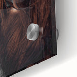 Rustic Wall Art - Close-Up of Highland Cow Fur, Farmhouse Decor Print