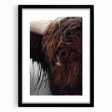 Rustic Wall Art - Close-Up of Highland Cow Fur, Farmhouse Decor Print