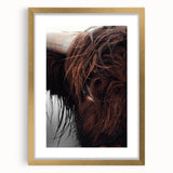 Rustic Wall Art - Close-Up of Highland Cow Fur, Farmhouse Decor Print