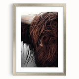 Rustic Wall Art - Close-Up of Highland Cow Fur, Farmhouse Decor Print
