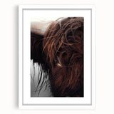 Rustic Wall Art - Close-Up of Highland Cow Fur, Farmhouse Decor Print