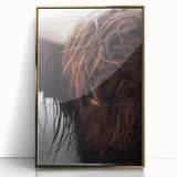 Rustic Wall Art - Close-Up of Highland Cow Fur, Farmhouse Decor Print
