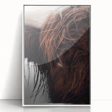 Rustic Wall Art - Close-Up of Highland Cow Fur, Farmhouse Decor Print