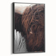 Rustic Wall Art - Close-Up of Highland Cow Fur, Farmhouse Decor Print