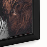 Rustic Wall Art - Close-Up of Highland Cow Fur, Farmhouse Decor Print