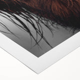Rustic Wall Art - Close-Up of Highland Cow Fur, Farmhouse Decor Print