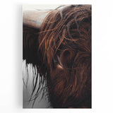 Rustic Wall Art - Close-Up of Highland Cow Fur, Farmhouse Decor Print