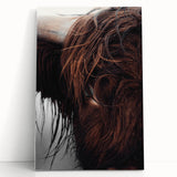 Rustic Wall Art - Close-Up of Highland Cow Fur, Farmhouse Decor Print