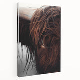 Rustic Wall Art - Close-Up of Highland Cow Fur, Farmhouse Decor Print