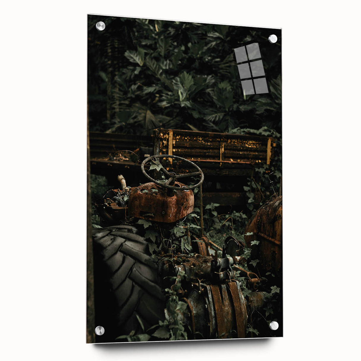 Rustic Wall Art - Abandoned Tractor Overgrown with Vines, Farmhouse Decor